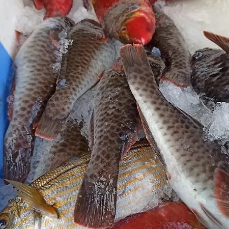 Vacacional La Sardina Appartamento