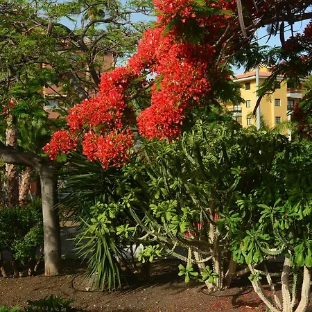 Vacacional La Sardina Appartamento *