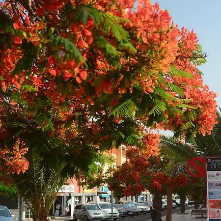 Vacacional La Sardina *